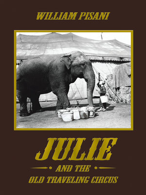 cover image of Julie and the Old Traveling Circus